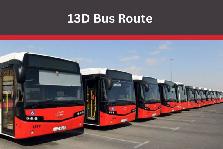 13D Bus Route