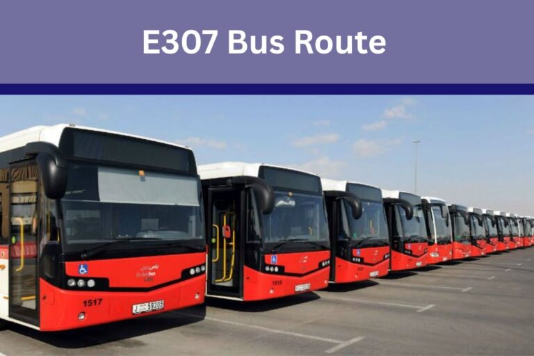 E307 Bus Route